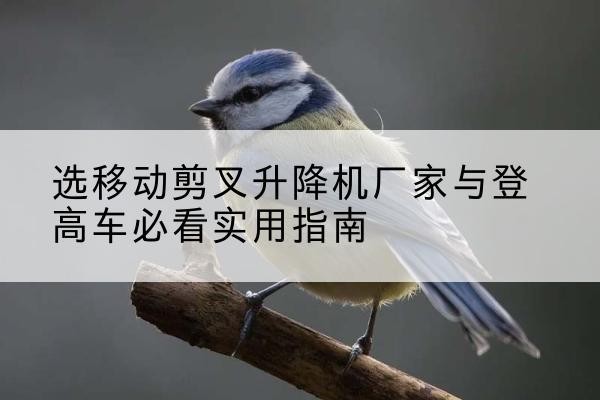彭阳电动升降机厂家-选移动剪叉升降机厂家与登高车必看实用指南