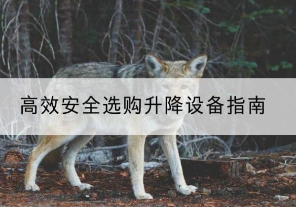 彭阳升降货梯厂家推荐-*安全选购升降设备指南
