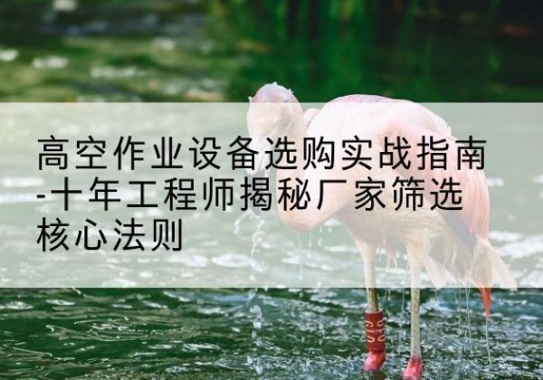 彭阳剪叉式升降机厂家-高空作业设备选购实战指南-十年工程师揭秘厂家筛选核心法则